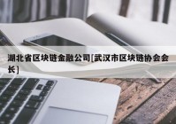 湖北省区块链金融公司[武汉市区块链协会会长]