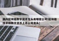 国内区块链数字货币龙头有哪些公司[区块链技术和数字货币上市公司龙头]