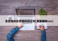 宣亚国际区块链科技公司[宣亚国际ceo]