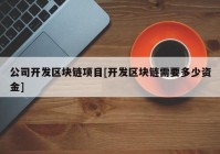 公司开发区块链项目[开发区块链需要多少资金]