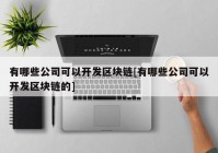 有哪些公司可以开发区块链[有哪些公司可以开发区块链的]